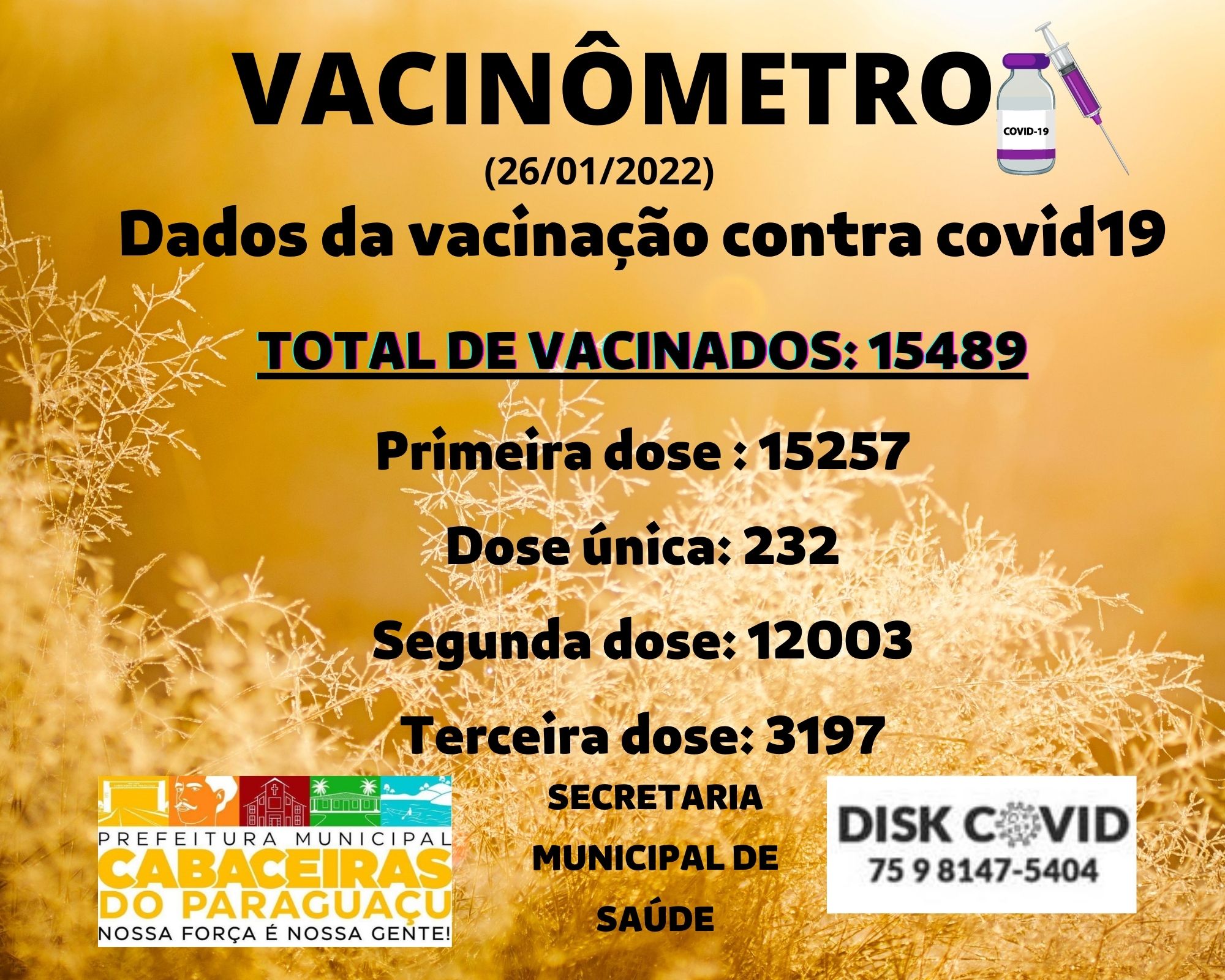 Dados da vacinação contra covid19